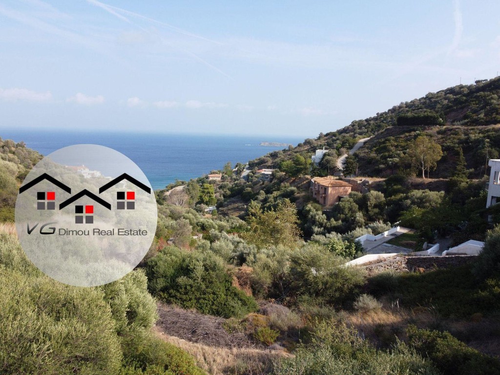 Οικόπεδο 4.500 τ.μ. προς πώληση, Κλιμάκι Δύστου