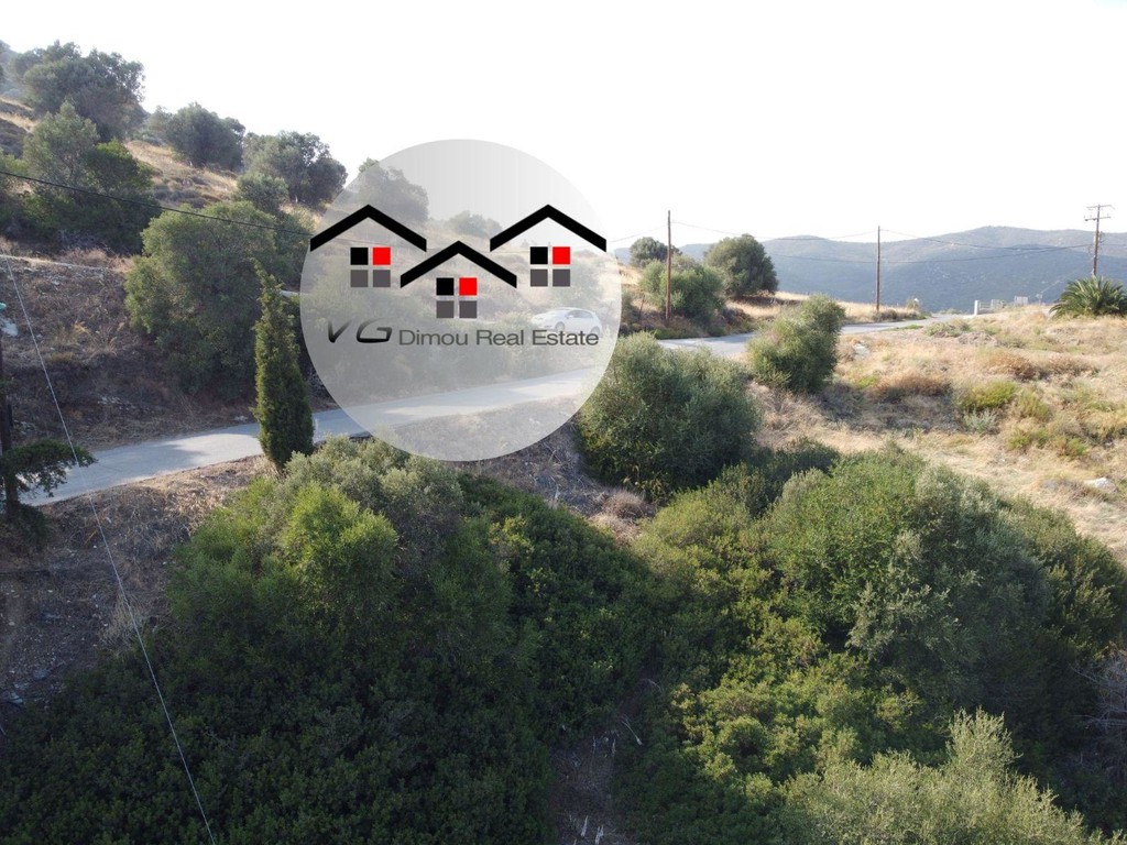 Οικόπεδο 4.500 τ.μ. προς πώληση, Κλιμάκι Δύστου
