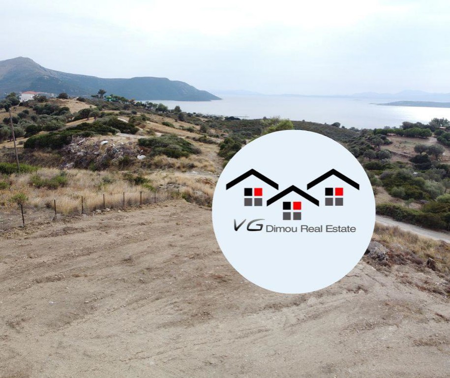 Αγροτεμάχια 4.000 τ.μ. προς πώληση, Νέα Στύρα