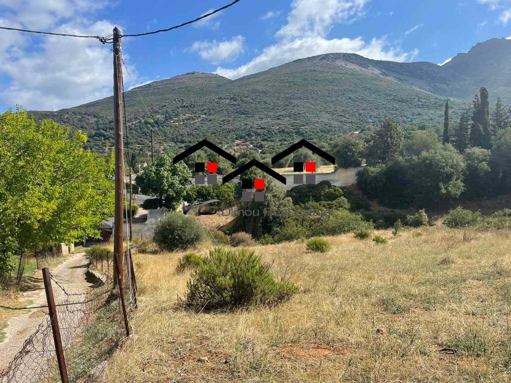 Οικόπεδο 5.500 τ.μ. προς πώληση, Κέντρο Στύρων