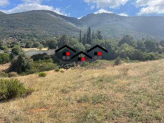 Οικόπεδο 5.500 τ.μ. για πώληση, Εύβοια, Στύρα-thumb-6