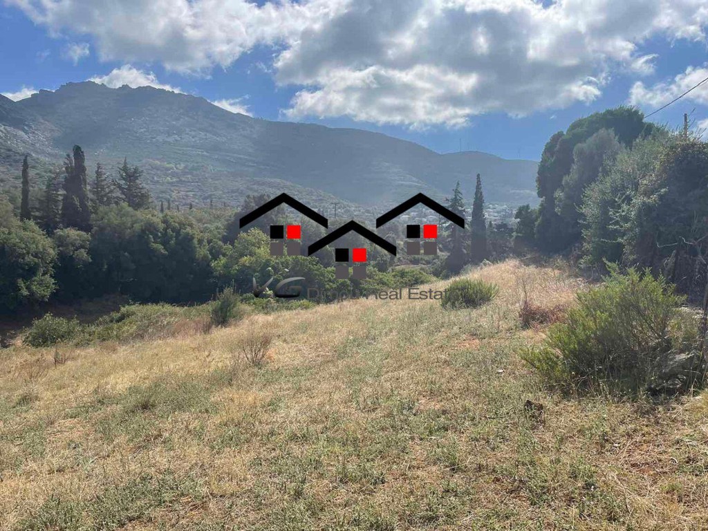 Οικόπεδο 5.500 τ.μ. προς πώληση, Κέντρο Στύρων