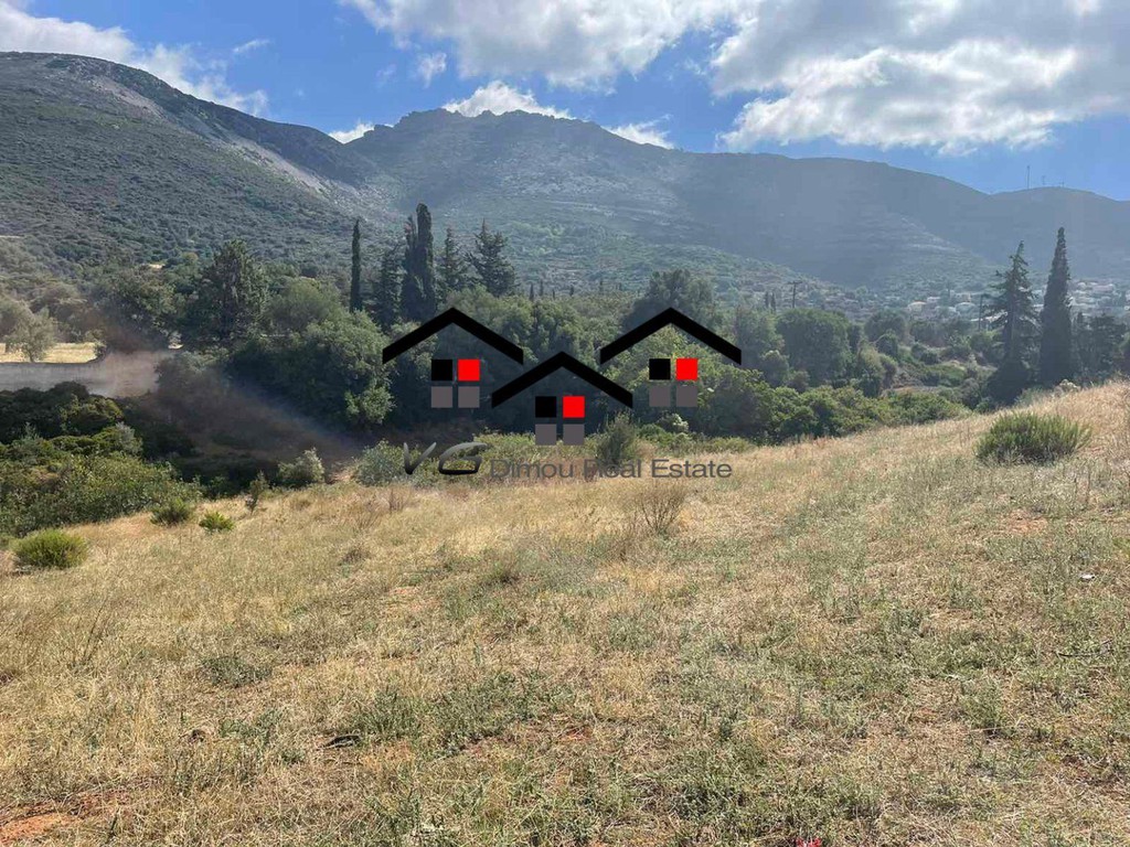 Οικόπεδο 5.500 τ.μ. προς πώληση, Κέντρο Στύρων