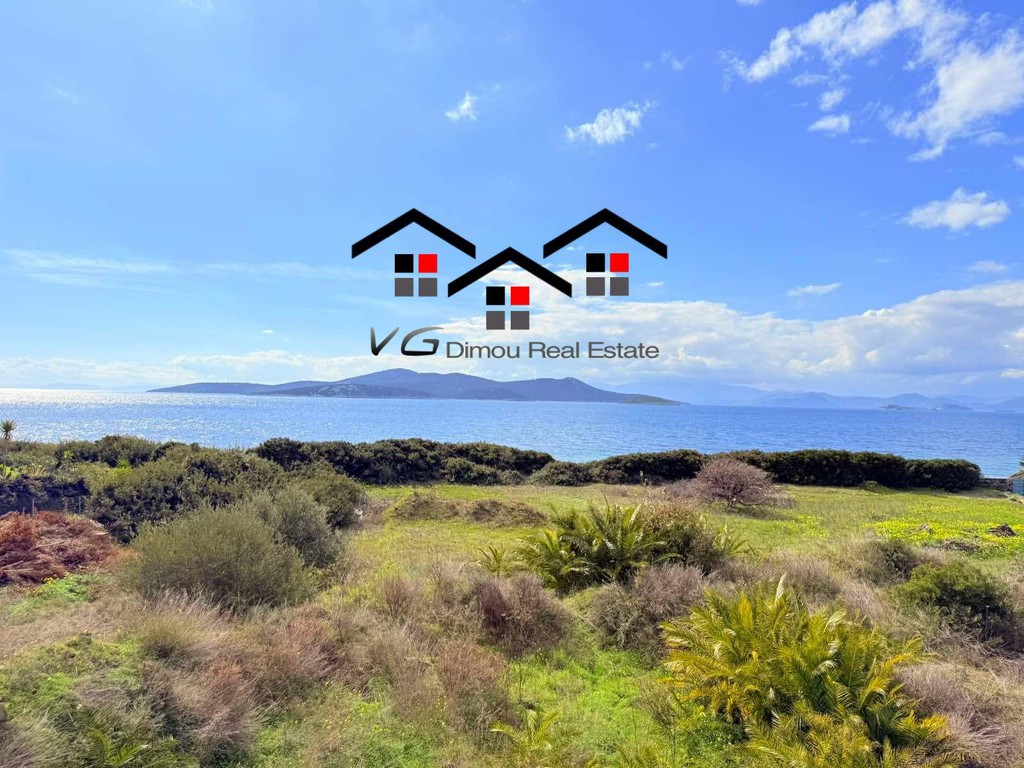 Μονοκατοικία 330 τ.μ. προς πώληση, Δήλησο