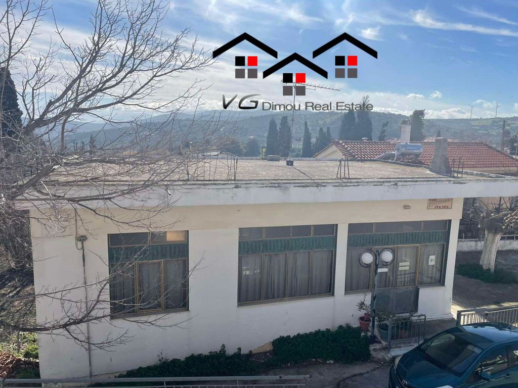 Μονοκατοικία 165 τ.μ. προς πώληση, Μεσοχώρια