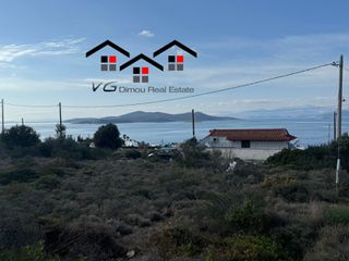 Αγροτεμάχια 4.200 τ.μ. για πώληση, Εύβοια, Στύρα-thumb-13