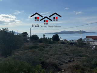 Αγροτεμάχια 4.200 τ.μ. για πώληση, Εύβοια, Στύρα-thumb-12