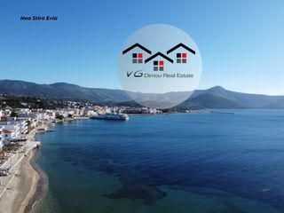 Αγροτεμάχια 4.200 τ.μ. για πώληση, Εύβοια, Στύρα-thumb-24