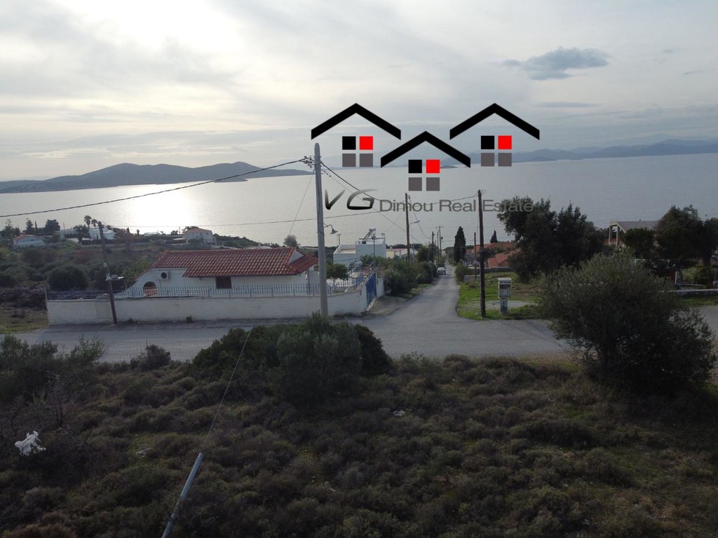 Αγροτεμάχια 4.200 τ.μ. προς πώληση, Δήλησο