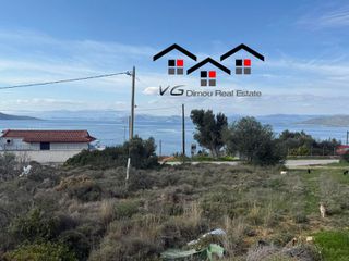 Αγροτεμάχια 4.200 τ.μ. για πώληση, Εύβοια, Στύρα-thumb-10