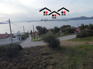 Αγροτεμάχια 4.200 τ.μ. για πώληση, Εύβοια, Στύρα-thumb-4