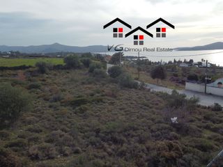 Αγροτεμάχια 4.200 τ.μ. για πώληση, Εύβοια, Στύρα-thumb-7
