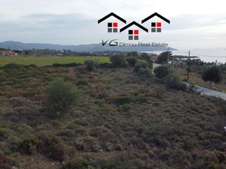 Αγροτεμάχια 4.200 τ.μ. για πώληση, Εύβοια, Στύρα-thumb-6