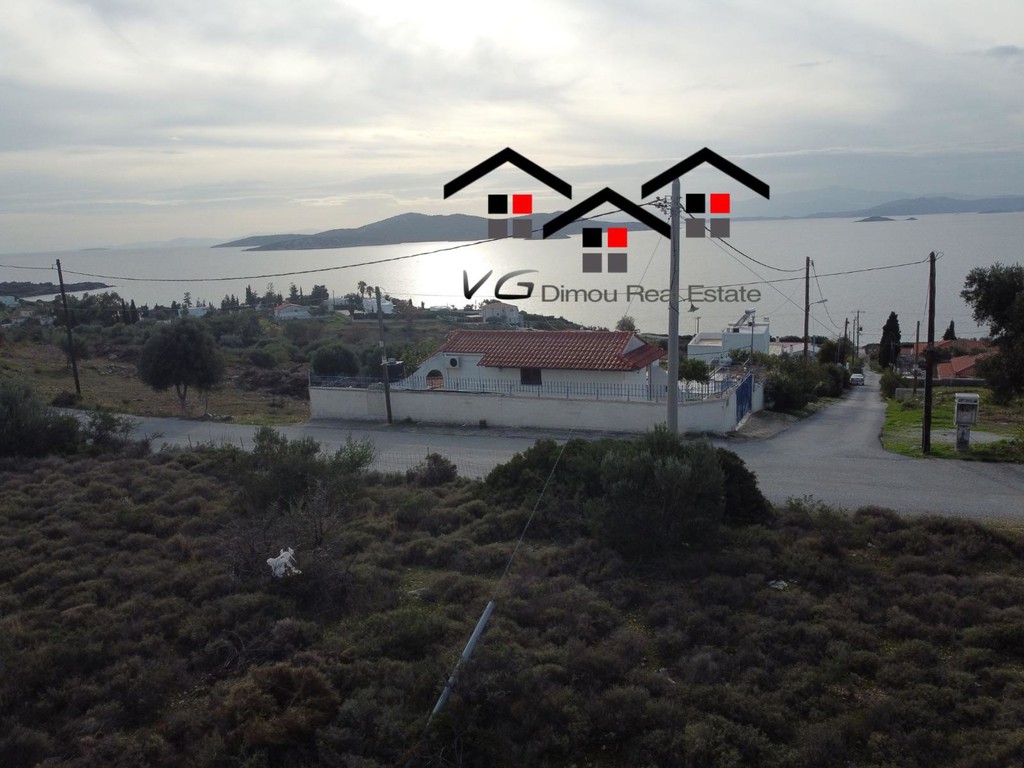 Αγροτεμάχια 4.200 τ.μ. προς πώληση, Δήλησο