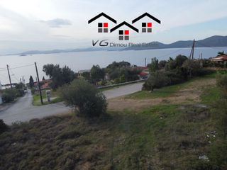 Αγροτεμάχια 4.200 τ.μ. για πώληση, Εύβοια, Στύρα-thumb-5