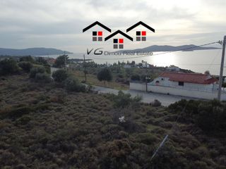 Αγροτεμάχια 4.200 τ.μ. για πώληση, Εύβοια, Στύρα-thumb-2