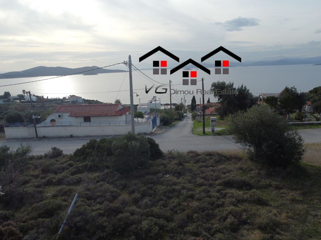 Αγροτεμάχια 4.200 τ.μ. για πώληση, Εύβοια, Στύρα