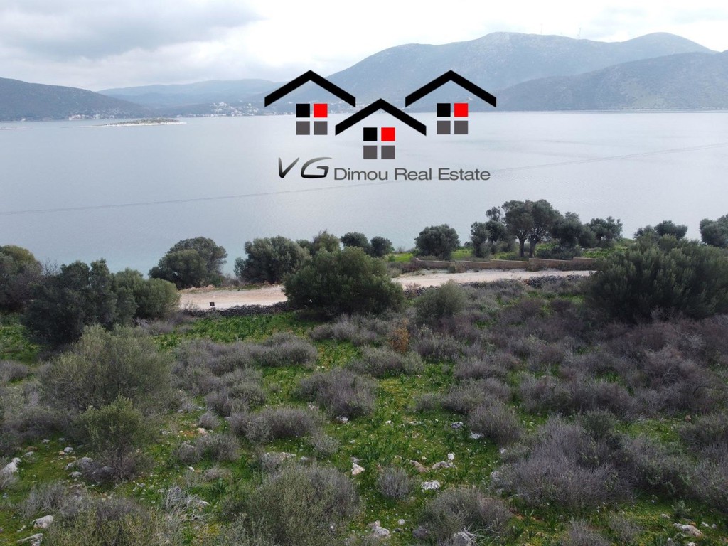 Αγροτεμάχια 4.000 τ.μ. προς πώληση, Άγιος Δημήτριος Δύστου