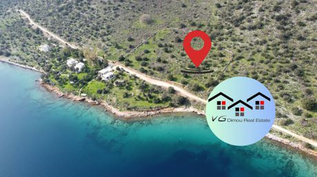 Αγροτεμάχια 4.000 τ.μ. προς πώληση