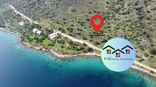 Αγροτεμάχια 4.000 τ.μ. για πώληση