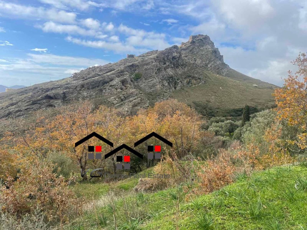 Οικόπεδο 5.300 τ.μ. προς πώληση, Μύλοι Καρύστου