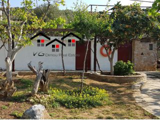 Μονοκατοικία 290 τ.μ. για πώληση, Εύβοια, Στύρα-thumb-8