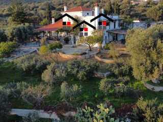 Μονοκατοικία 290 τ.μ. για πώληση, Εύβοια, Στύρα-thumb-24