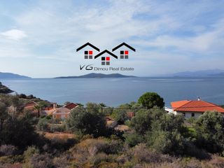 Αγροτεμάχια 4.050 τ.μ. για πώληση, Εύβοια, Στύρα-thumb-1