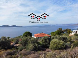 Αγροτεμάχια 4.050 τ.μ. για πώληση, Εύβοια, Στύρα-thumb-3