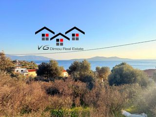 Αγροτεμάχια 4.050 τ.μ. για πώληση, Εύβοια, Στύρα-thumb-18