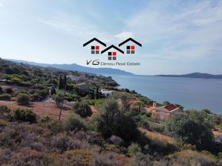 Αγροτεμάχια 4.050 τ.μ. για πώληση, Εύβοια, Στύρα-thumb-10