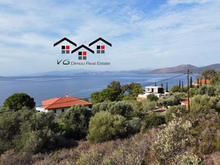 Αγροτεμάχια 4.050 τ.μ. για πώληση, Εύβοια, Στύρα-thumb-2