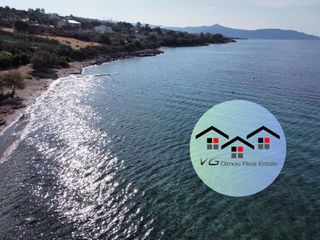 Αγροτεμάχια 4.050 τ.μ. για πώληση, Εύβοια, Στύρα-thumb-5