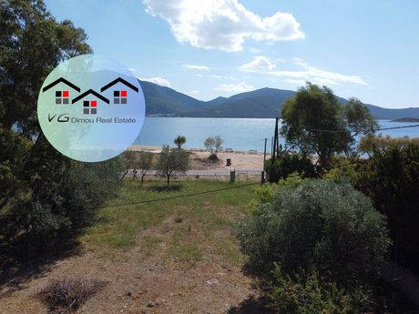 Οικόπεδο 1.800τ.μ. για πώληση-Δύστος