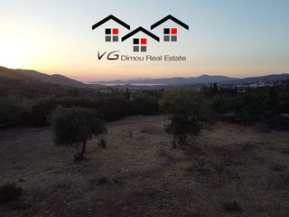 Οικόπεδο 1.500 τ.μ. για πώληση, Εύβοια, Στύρα-thumb-1