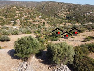 Αγροτεμάχια 8.400 τ.μ. προς πώληση, Δήλησο-thumb-1