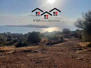 Αγροτεμάχια 5.085 τ.μ. προς πώληση, Νέα Στύρα-thumb-9