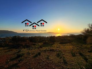 Αγροτεμάχια 5.085 τ.μ. προς πώληση, Νέα Στύρα-thumb-21