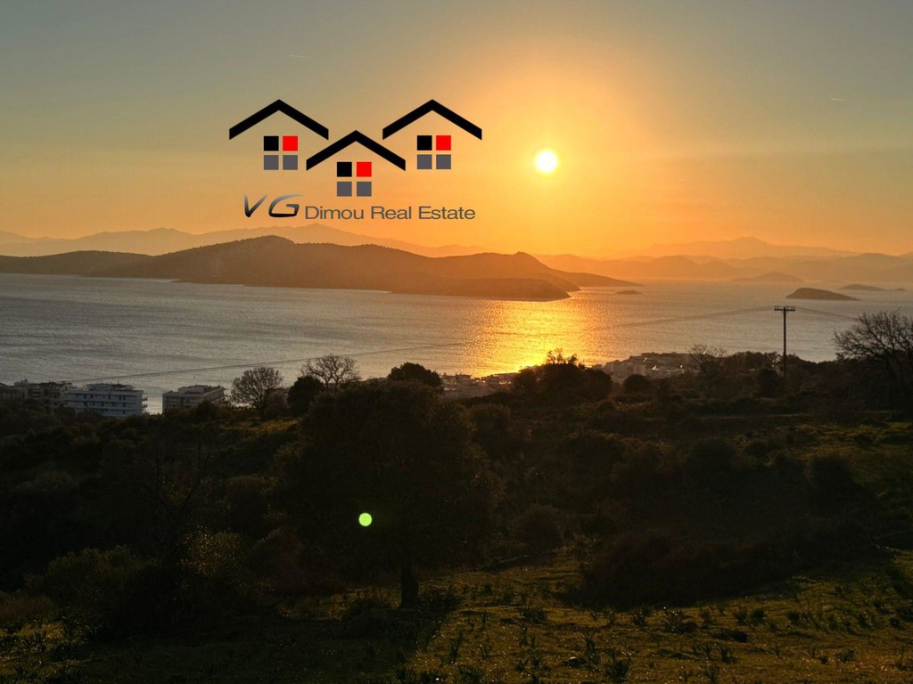 Αγροτεμάχια 5.085 τ.μ. προς πώληση, Νέα Στύρα