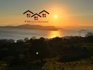 Αγροτεμάχια 5.085 τ.μ. προς πώληση, Νέα Στύρα-thumb-2