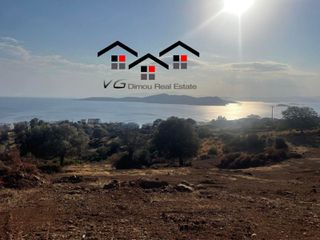 Αγροτεμάχια 5.085 τ.μ. προς πώληση, Νέα Στύρα-thumb-13
