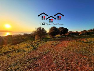 Αγροτεμάχια 5.085 τ.μ. προς πώληση, Νέα Στύρα-thumb-5