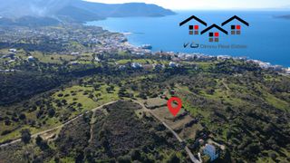Αγροτεμάχια 4.100 τ.μ. για πώληση, Εύβοια, Στύρα-thumb-18