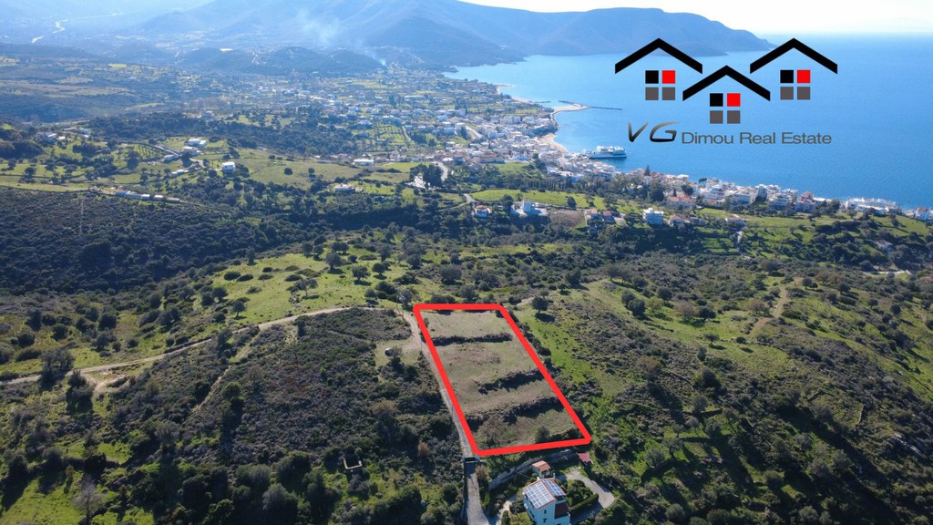 Αγροτεμάχια 4.100 τ.μ. προς πώληση, Νέα Στύρα