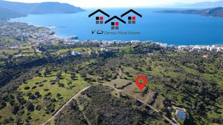 Αγροτεμάχια 4.100 τ.μ. για πώληση, Εύβοια, Στύρα-thumb-17
