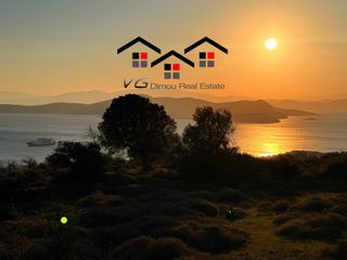 Αγροτεμάχια 4.100 τ.μ. για πώληση, Εύβοια, Στύρα-thumb-15