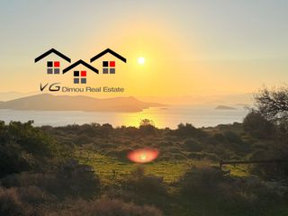 Αγροτεμάχια 4.100 τ.μ. για πώληση, Εύβοια, Στύρα-thumb-13