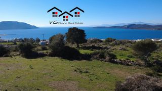 Αγροτεμάχια 4.100 τ.μ. για πώληση, Εύβοια, Στύρα-thumb-21