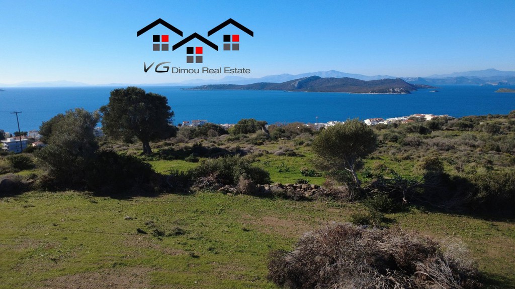 Αγροτεμάχια 4.100 τ.μ. προς πώληση, Νέα Στύρα