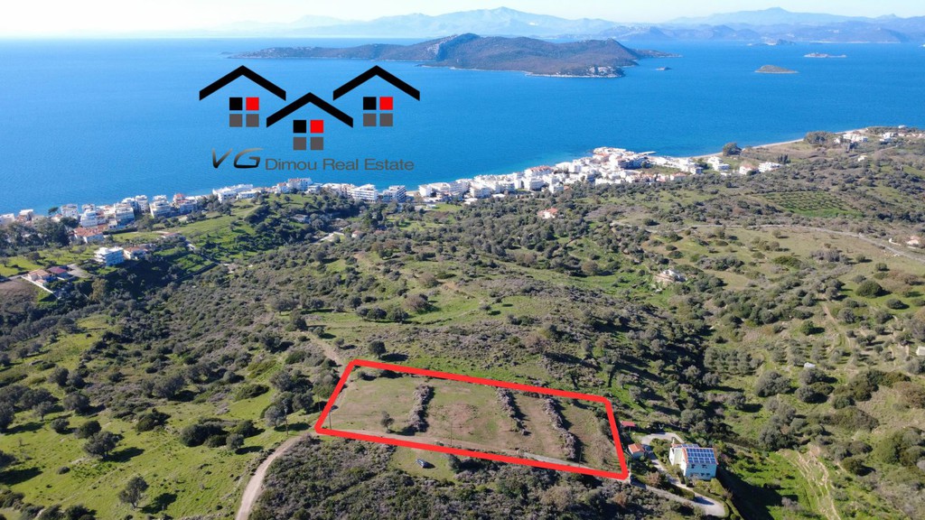 Αγροτεμάχια 4.100 τ.μ. προς πώληση, Νέα Στύρα